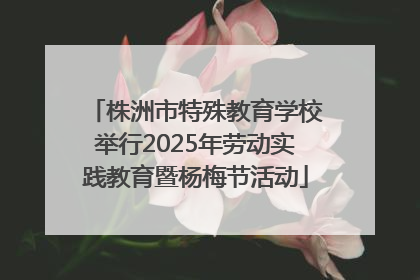株洲市特殊教育学校举行2025年劳动实践教育暨杨梅节活动