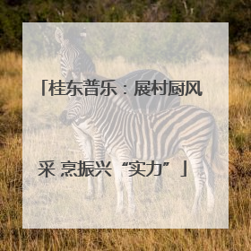 桂东普乐：展村厨风采 烹振兴“实力”