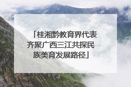桂湘黔教育界代表齐聚广西三江共探民族美育发展路径
