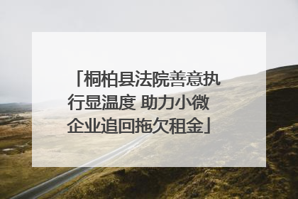 桐柏县法院善意执行显温度 助力小微企业追回拖欠租金