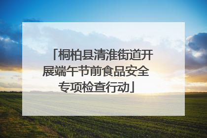 桐柏县清淮街道开展端午节前食品安全专项检查行动