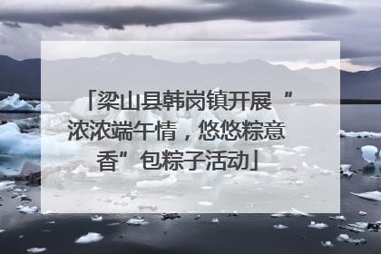 梁山县韩岗镇开展“浓浓端午情，悠悠粽意香”包粽子活动