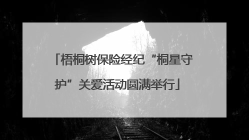 梧桐树保险经纪“桐星守护”关爱活动圆满举行