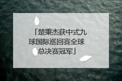 楚秉杰获中式九球国际巡回赛全球总决赛冠军