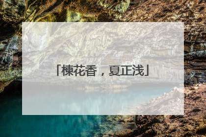 楝花香，夏正浅