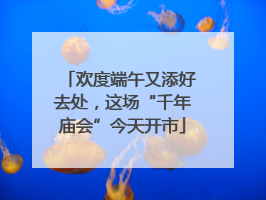 欢度端午又添好去处，这场“千年庙会”今天开市