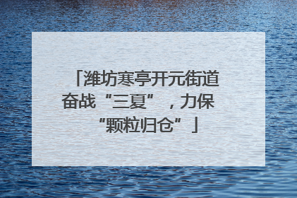 潍坊寒亭开元街道奋战“三夏”，力保“颗粒归仓”