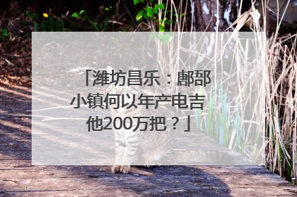 潍坊昌乐：鄌郚小镇何以年产电吉他200万把？