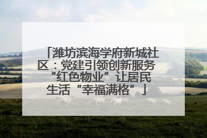 潍坊滨海学府新城社区：党建引领创新服务 “红色物业”让居民生活“幸福满格”