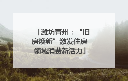 潍坊青州：“旧房焕新”激发住房领域消费新活力