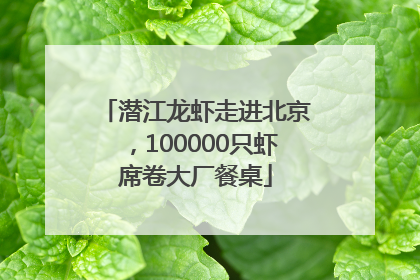 潜江龙虾走进北京，100000只虾席卷大厂餐桌