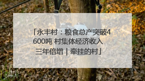永丰村：粮食总产突破4600吨 村集体经济收入三年倍增｜牵挂的村