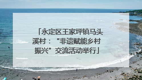 永定区王家坪镇马头溪村：“非遗赋能乡村振兴”交流活动举行