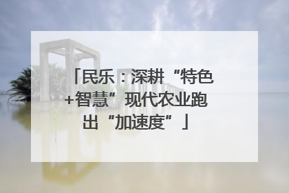 民乐：深耕“特色+智慧”现代农业跑出“加速度”