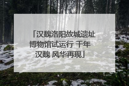 汉魏洛阳故城遗址博物馆试运行 千年汉魏 风华再现
