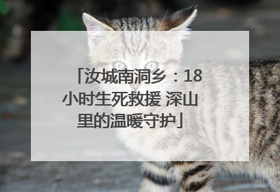 汝城南洞乡：18小时生死救援 深山里的温暖守护