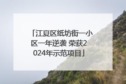 江夏区纸坊街一小区一年逆袭 荣获2024年示范项目