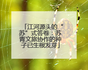 江河源头的“苏”式答卷：苏青文旅协作的种子已生根发芽