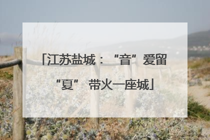 江苏盐城：“音”爱留“夏” 带火一座城