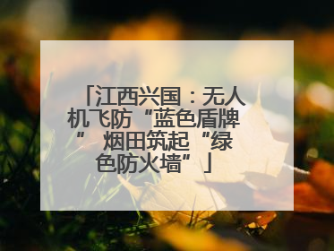 江西兴国：无人机飞防“蓝色盾牌” 烟田筑起“绿色防火墙”