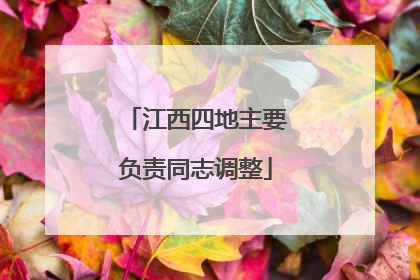 江西四地主要负责同志调整