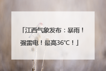 江西气象发布：暴雨！强雷电！最高36℃！