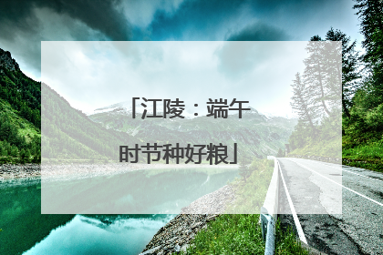 江陵：端午时节种好粮