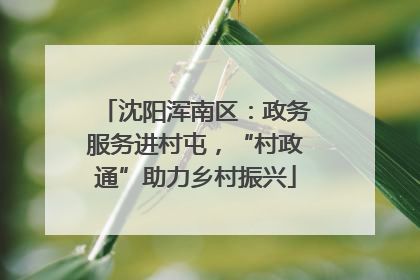 沈阳浑南区：政务服务进村屯，“村政通”助力乡村振兴