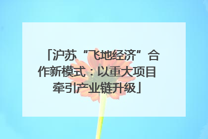 沪苏“飞地经济”合作新模式：以重大项目牵引产业链升级