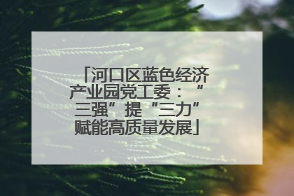 河口区蓝色经济产业园党工委：“三强”提“三力”赋能高质量发展
