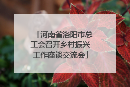 河南省洛阳市总工会召开乡村振兴工作座谈交流会