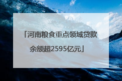 河南粮食重点领域贷款余额超2595亿元