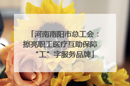 河南南阳市总工会：擦亮职工医疗互助保障“工”字服务品牌