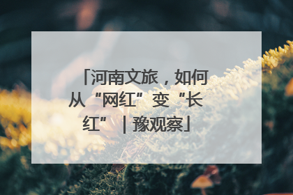 河南文旅，如何从“网红”变“长红”｜豫观察