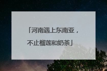 河南遇上东南亚，不止榴莲和奶茶