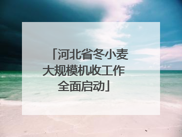 河北省冬小麦大规模机收工作全面启动