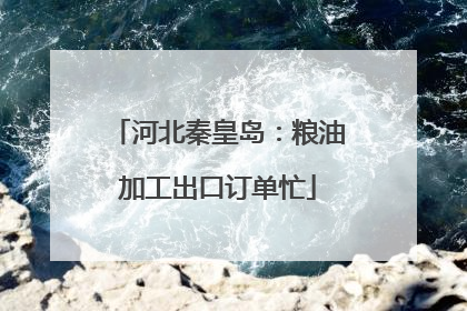 河北秦皇岛：粮油加工出口订单忙