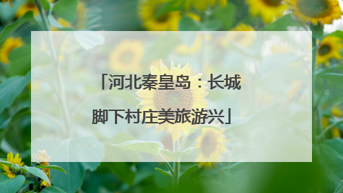 河北秦皇岛：长城脚下村庄美旅游兴
