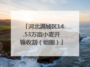 河北满城区14.53万亩小麦开镰收割（组图）