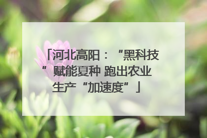 河北高阳：“黑科技”赋能夏种 跑出农业生产“加速度”