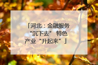 河北：金融服务“沉下去” 特色产业“升起来”