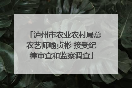 泸州市农业农村局总农艺师喻贞彬 接受纪律审查和监察调查
