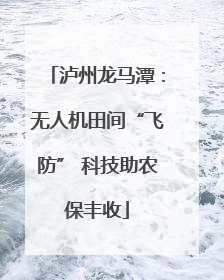 泸州龙马潭：无人机田间“飞防” 科技助农保丰收