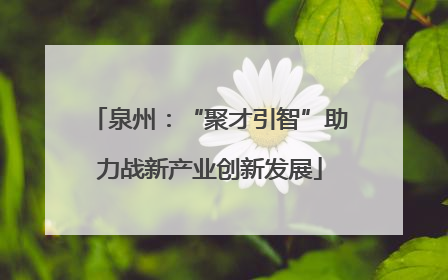 泉州：“聚才引智”助力战新产业创新发展