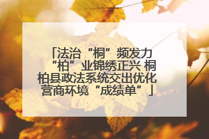 法治“桐”频发力 “柏”业锦绣正兴 桐柏县政法系统交出优化营商环境“成绩单”