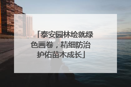 泰安园林绘就绿色画卷，精细防治护佑苗木成长