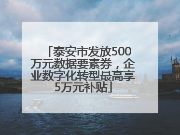 泰安市发放500万元数据要素券，企业数字化转型最高享5万元补贴