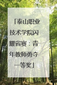 泰山职业技术学院闪耀省赛：青年教师勇夺一等奖