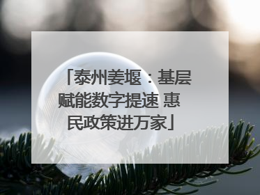 泰州姜堰：基层赋能数字提速 惠民政策进万家