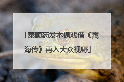 泰顺药发木偶戏借《藏海传》再入大众视野